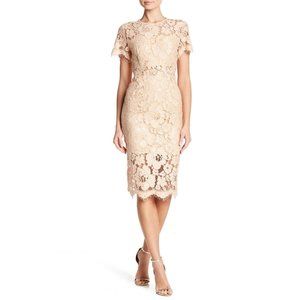 NSR Lace Short Sleeve Sheath Nude Beige Midi dress